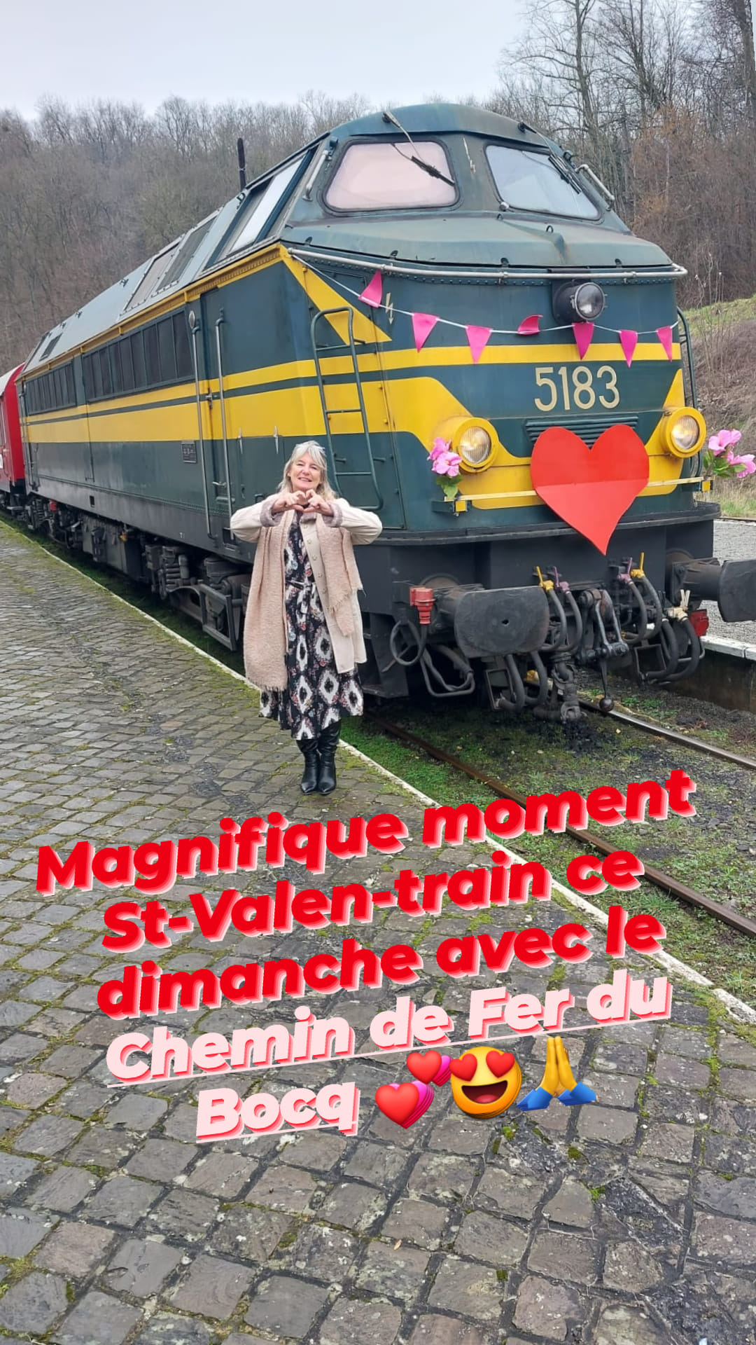 a train that is sitting in the grass