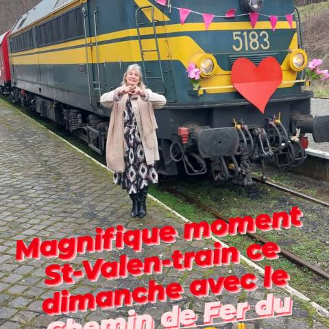 a train that is sitting in the grass