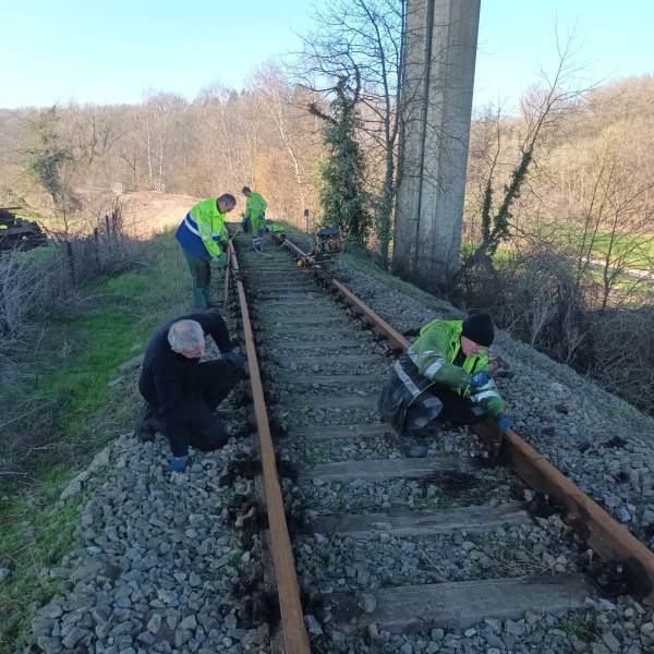 a person sitting in a garden