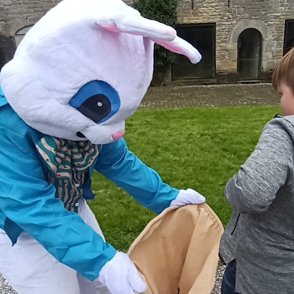a little boy that is standing in the grass