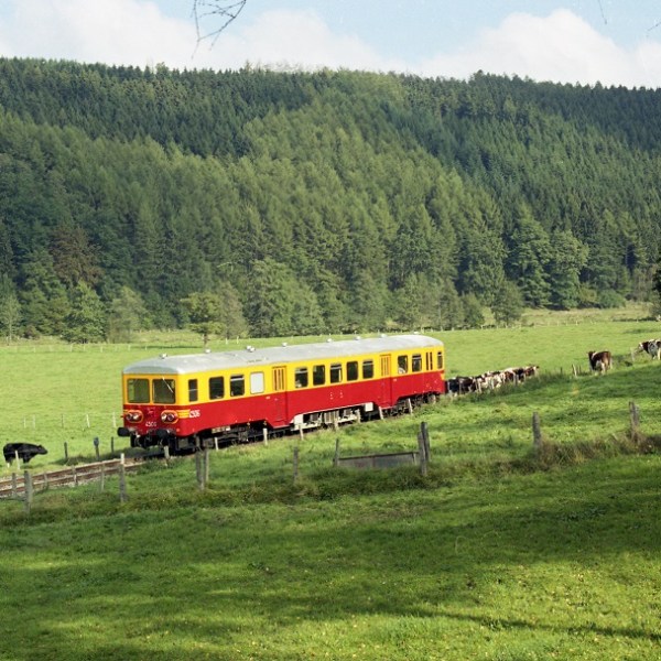 a large long train on a lush green field