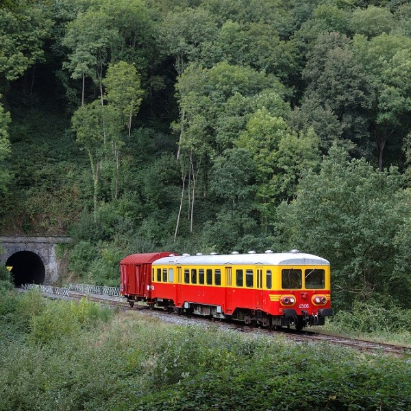 a train traveling down train tracks near a forest