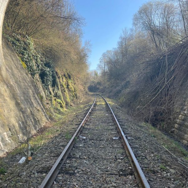 a train on a train track with trees in the background