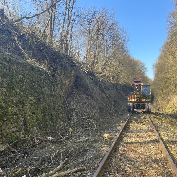 a train traveling down train tracks near a forest