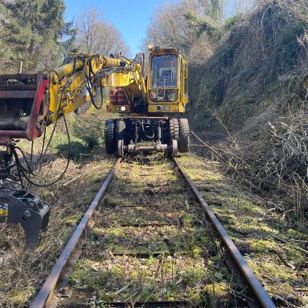 a train traveling down train tracks near a forest