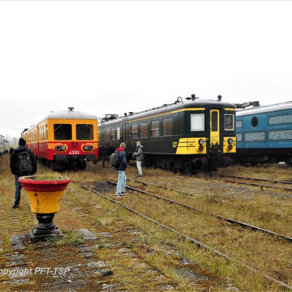 a train is parked on the grass
