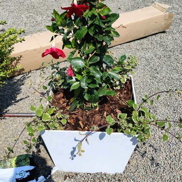 a person sitting in a garden