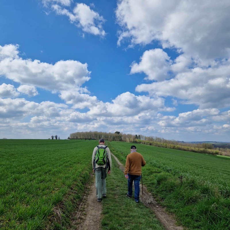 a fire hydrant in the middle of a field