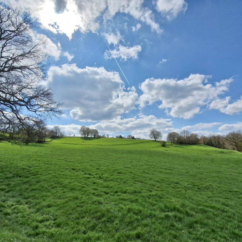 a large green field with trees in the background