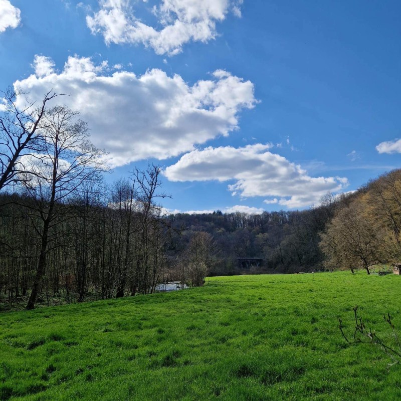 a large green field with trees in the background