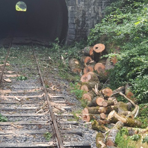 a pile of stuffed animals sitting on top of a field