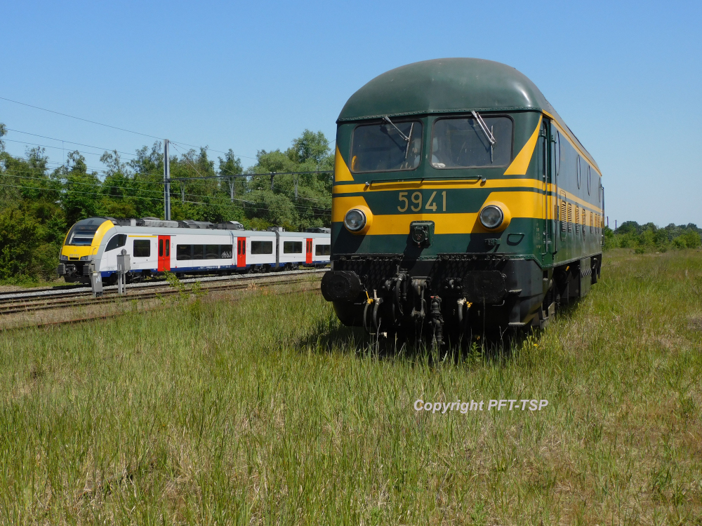 a train traveling through a lush green field