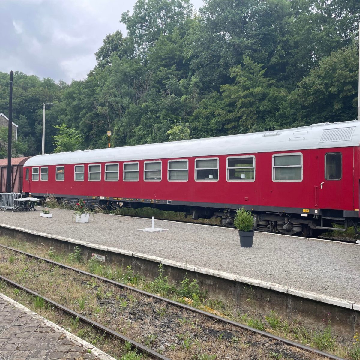 a train traveling down train tracks near a forest