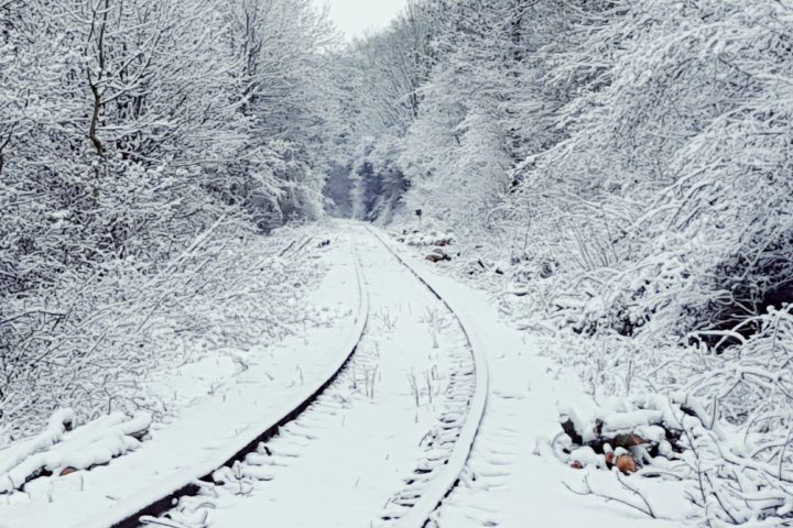 a flock of birds standing on top of a snow covered slope