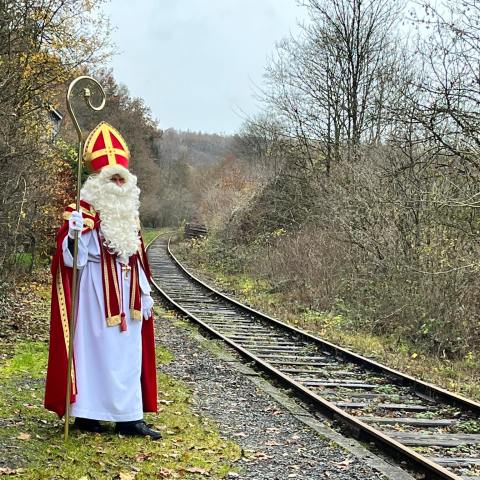 a train on a train track with trees in the background
