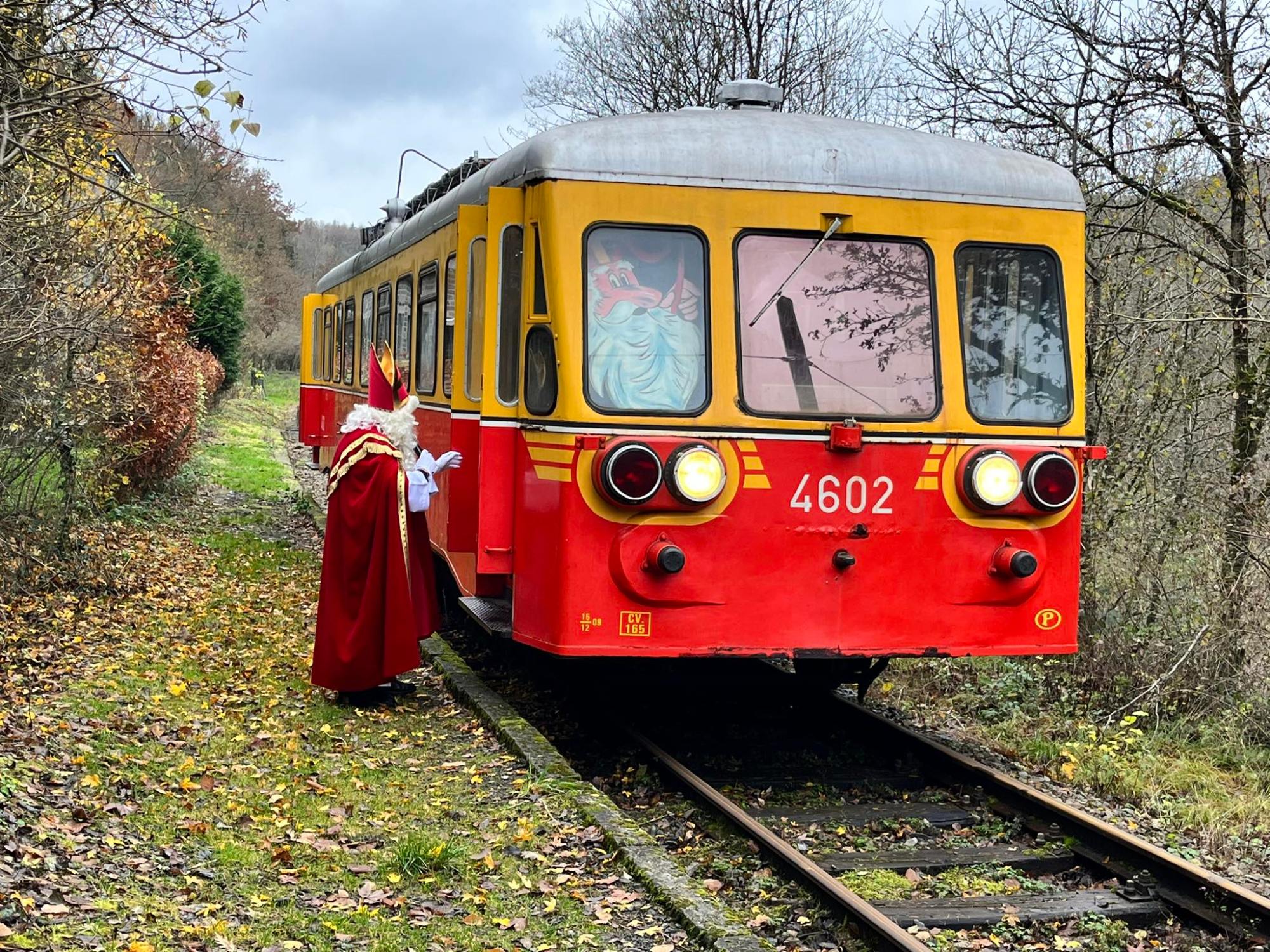 a train is parked on the grass