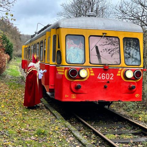 a train is parked on the grass