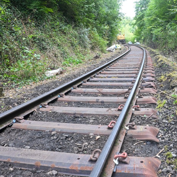 Curved railway track surrounded by green trees and shrubs.