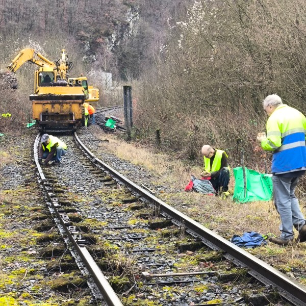 Workers in hi-vis vests inspecting railway tracks with machinery nearby in a wooded area.