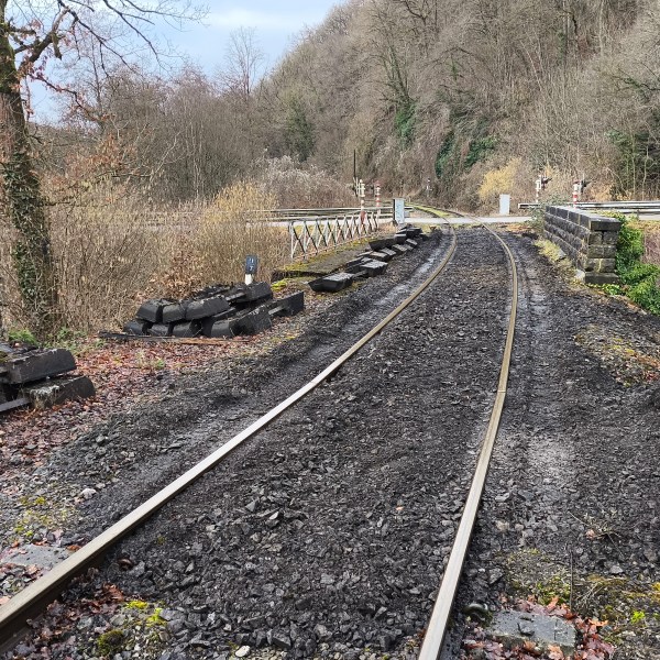 Railway track through wooded area, piles of sleepers on both sides, overcast sky.
