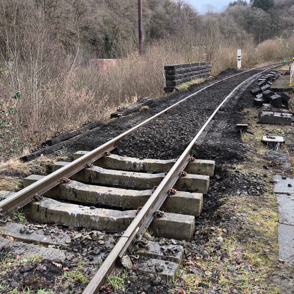 A railroad track undergoing maintenance in a rural setting with trees and bushes nearby.