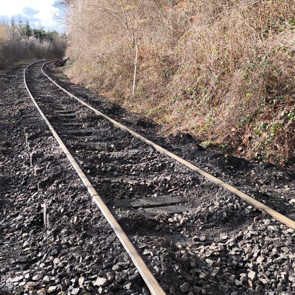 Overgrown railway tracks surrounded by dry bushes and trees.