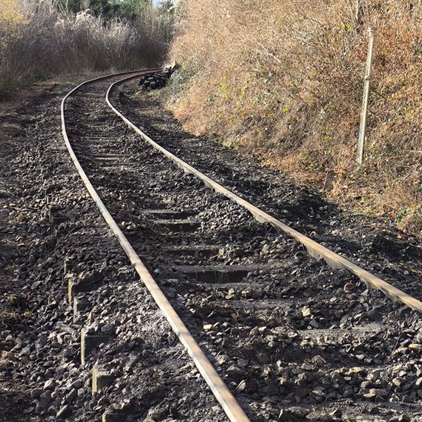 Curved train tracks surrounded by leafless bushes and trees.