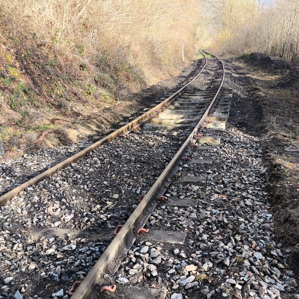 Curved railway track surrounded by bare trees and a pile of old sleepers on the left.