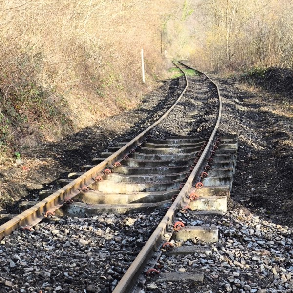 Railway track with uneven alignment in a forested area.