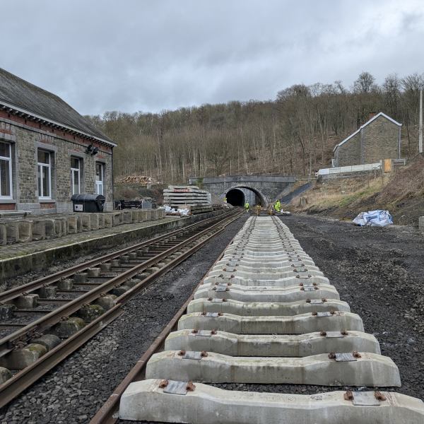 Railway tracks and sleepers at a rural station near a tunnel and buildings on a cloudy day.