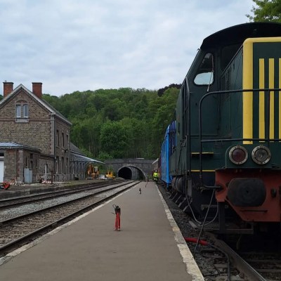 Train at a station with tracks, buildings, and a tunnel in the background.