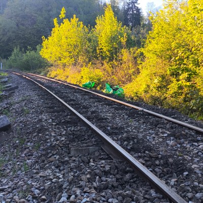 Railway tracks through lush green forest in sunlight.